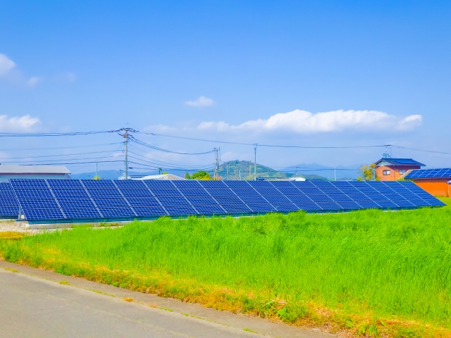 畑と太陽光パネル